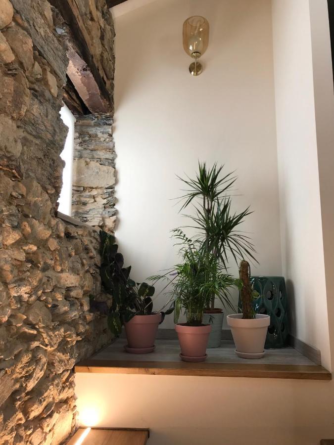 Studio Rural Vilarinho  Kültér fotó