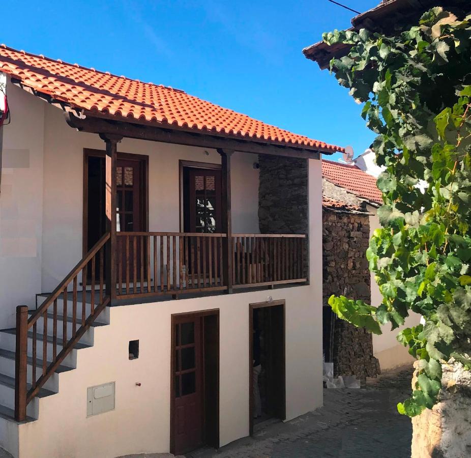 Studio Rural Vilarinho  Kültér fotó